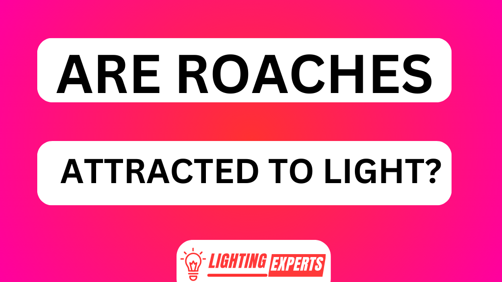 ARE ROACHES ATTRACTED TO LIGHT
