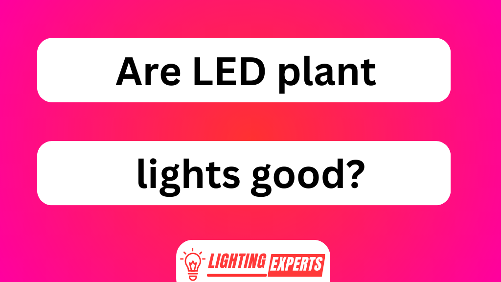 Are LED Plant Lights Good