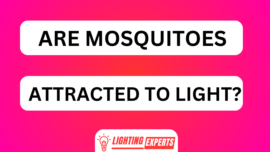 ARE MOSQUITOES ATTRACTED TO LIGHT
