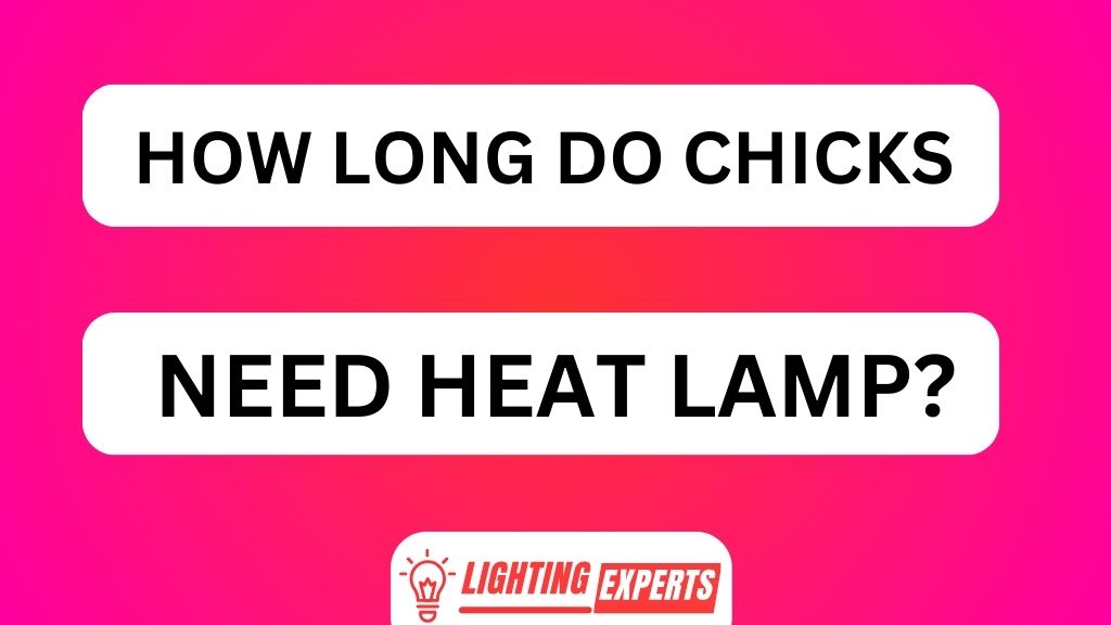 HOW LONG DO CHICKS NEED HEAT LAMP