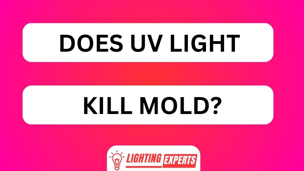 DOES UV LIGHT KILL MOLD