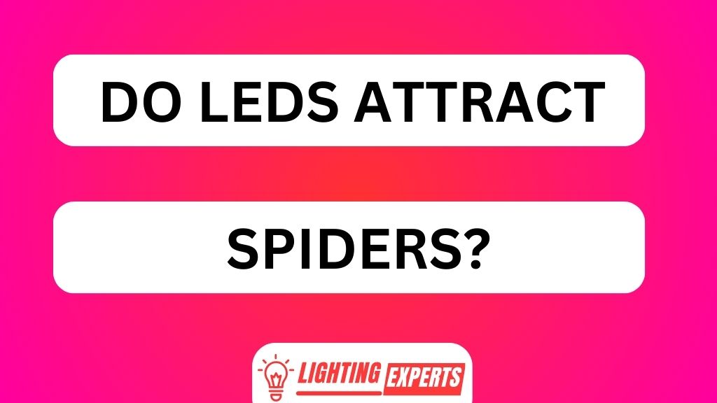 DO LEDS ATTRACT SPIDERS