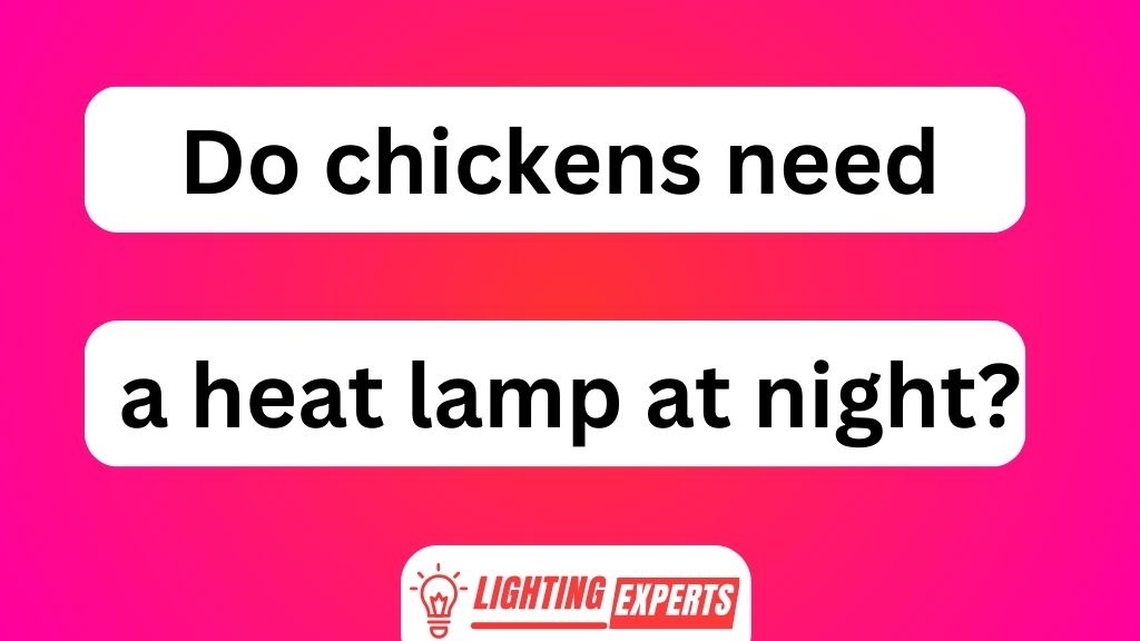 Do Chickens Need a Heat Lamp at Night