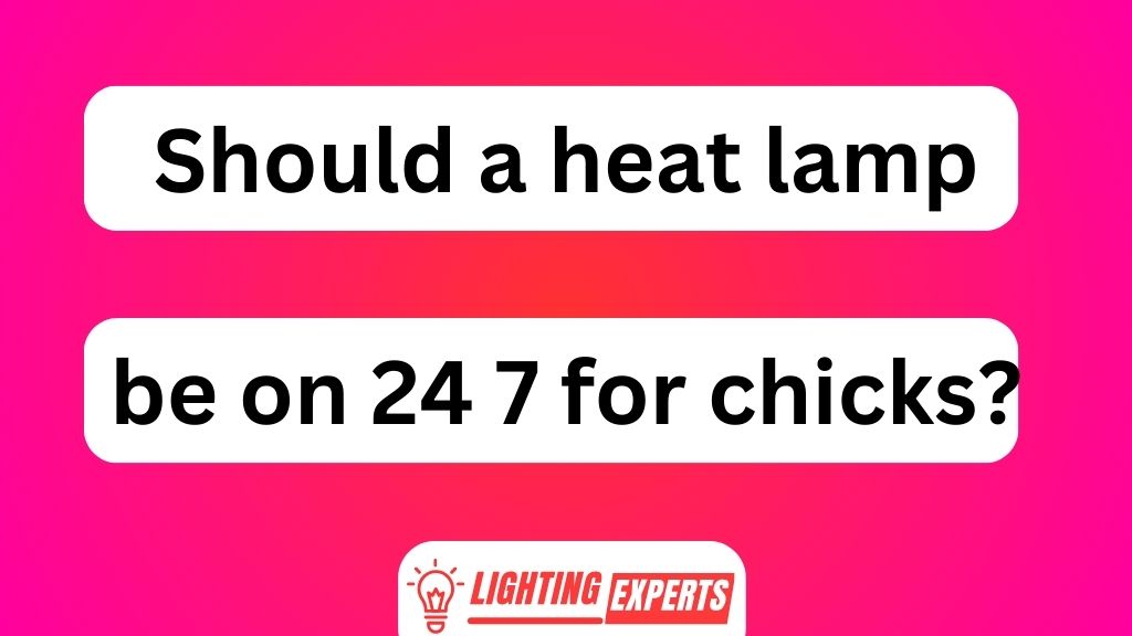 Should a Heat Lamp Be on 24 7 for Chicks