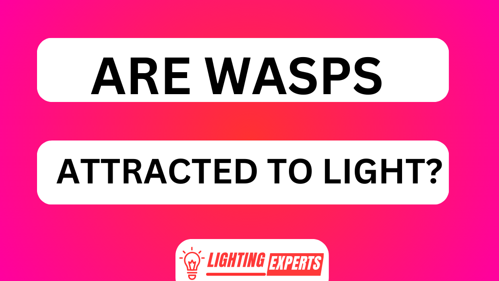 ARE WASPS ATTRACTED TO LIGHT